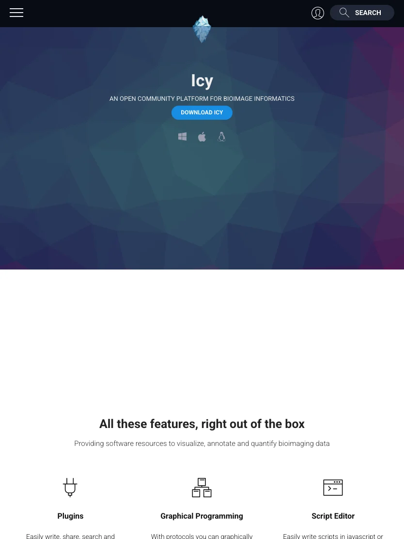 Icy — Tablet